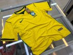 Brazil Home Player version8393